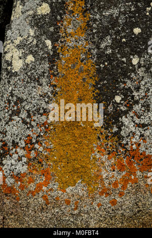 Spiaggia Binalong su Tasmania 's Bay di incendi chiamato a causa di incendi aborigene sulla costa e il luminoso lichene arancione che copre le rocce di marmo Foto Stock