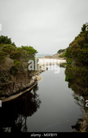 Spiaggia Binalong su Tasmania 's Bay di incendi chiamato a causa di incendi aborigene sulla costa e il luminoso lichene arancione che copre le rocce di marmo Foto Stock
