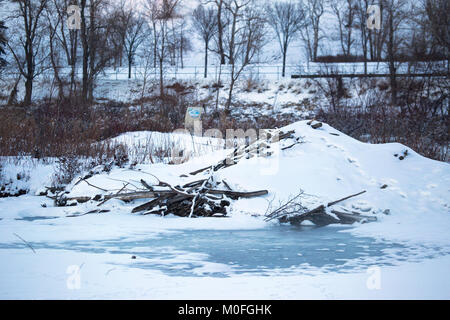 Beaver lodge coperto di neve nella città accanto al laghetto Trans Canada Trail Foto Stock