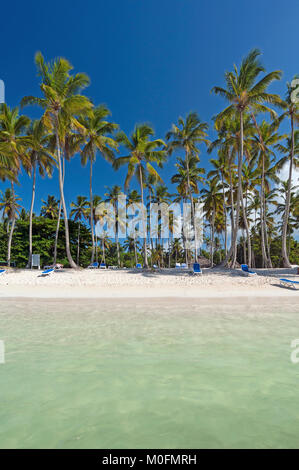 Caribbeab spiaggia nella Repubblica Dominicana Foto Stock