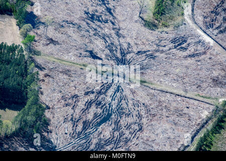 Antenna di stato eliminato di recente mostra di foresta rimane di quello che una volta era in Carolina del Nord Foto Stock