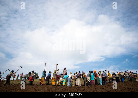 Il Ruanda, circostante di Kibuye, contadini al lavoro Foto Stock