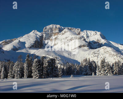 Il gruppo cristallo, Dolomiti, Alto Adige, Italia, montagna del massiccio, profonde incisioni, ripide pareti di roccia, altopiano, tacca, Valle del Boite, la foresta di conifere Foto Stock