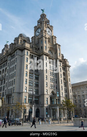 Royal Liver Building sul lungomare di Liverpool Foto Stock