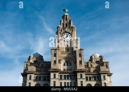 Royal Liver Building sul lungomare di Liverpool Foto Stock