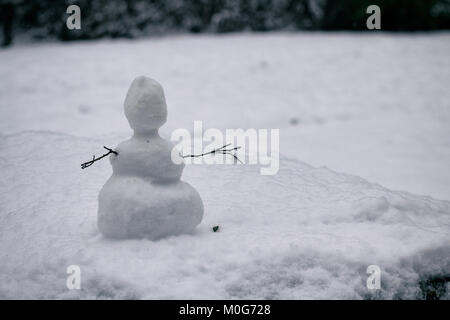 Mini pupazzo di neve Foto Stock