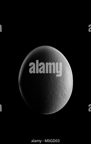 Primo quarto di luna mostra da uovo nella notte con shadow Planet Foto Stock