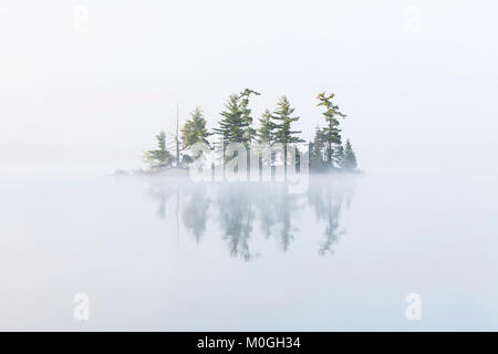 La nebbia avvolge una piccola isola nel Lago di tartaruga in Ontario della regione di Muskoka, vicino Rosseau; Ontario, Canada Foto Stock