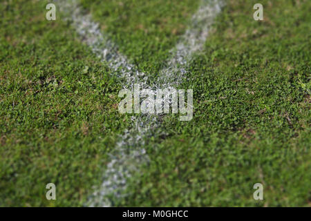 Dipinto di bianco di linee su un campo di calcio Foto Stock