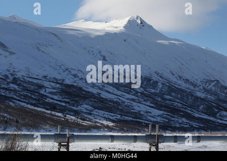 La pipeline Trans-Alaska sistema lungo la Richardson Highway in Alaska. la pipeline si muove di petrolio greggio da Prudhoe Bay a Valdez. Foto Stock