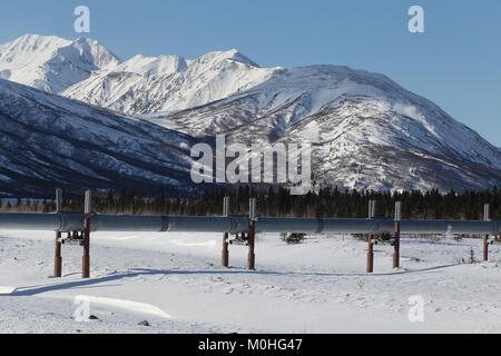 La pipeline Trans-Alaska sistema lungo la Richardson Highway in Alaska. la pipeline si muove di petrolio greggio da Prudhoe Bay a Valdez. Foto Stock