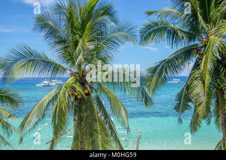 Gli alberi di palma, turchese del mare con barche tradizionali in background, isola di Cebu, Filippine Foto Stock