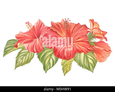 Rosso di fiori di ibisco isolati su sfondo bianco. Acquerello fiore tropicale realistico hibiscus colorati con foglie . Fiorito composizione Hawaiiana. Tropico esotico oggetto floreale per il tuo poster design. Foto Stock