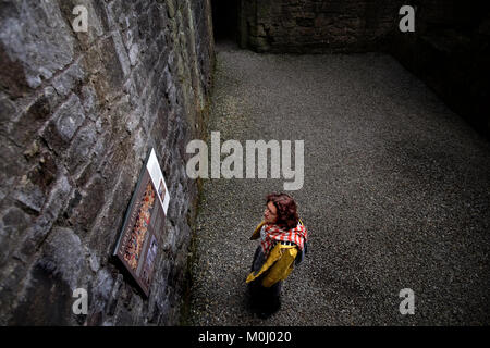 Una donna si legge su dei segnali di informazione presso il castello di eremo vicino a Hawick Foto Stock