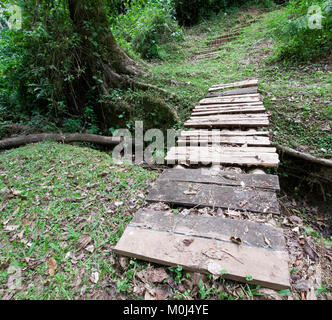 Ponte di legno su un piccolo ruscello nella foresta di Kakamega, Kenya Foto Stock