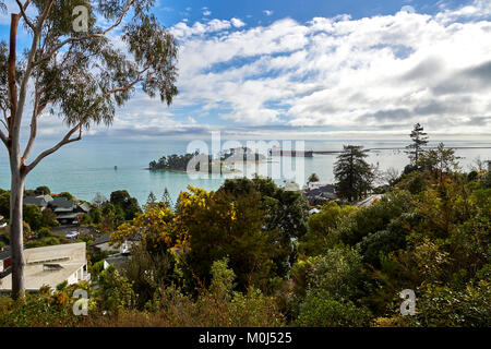 Vista sul porto di Nelson da Britannia altezze, Nelson, Isola del Sud, Nuova Zelanda Foto Stock