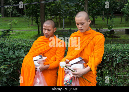 Asia,Thailandia,Chiang Mai,i monaci buddisti Foto Stock