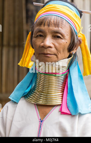 Asia,Thailandia,Chiang Mai,Ban Huay Pa Rai Hill Tribe Village,lungo collo donna Foto Stock