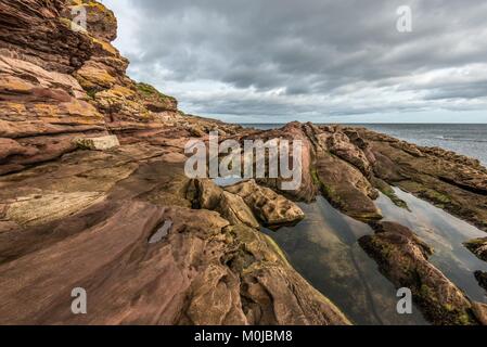 Il Tarbat Ness faro si trova a nord ovest di Punta del Tarbat Ness penisola vicino al villaggio di pescatori di Portmahomack in Scozia. Foto Stock