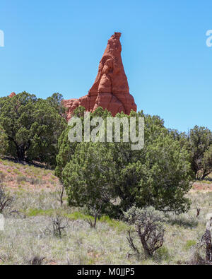 Formazione di arenaria in Kodachrome Basin Parco Statale, precedentemente Chimney Rock Park Foto Stock