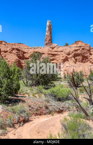 Tubo di sabbia in Kodachrome Basin Parco statale, una volta noto come Chimney Rock State Park Foto Stock