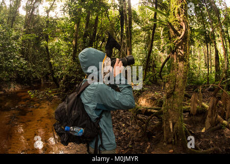 Un fotografo di natura delle pause per fotografare qualcosa nella foresta amazzonica. Foto Stock