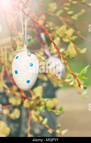 La polka punteggiata di bianco e blu uovo appeso sul nastro bianco su willow tree filiale a Praga park a Pasqua su soleggiate giornate estive Foto Stock