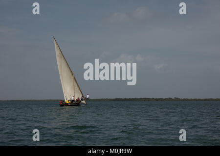 Dhow a vela in acque di Lamu, l'arcipelago di Lamu, Kenya Foto Stock