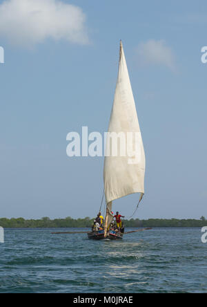 Dhow a vela in acque di Lamu, l'arcipelago di Lamu, Kenya Foto Stock