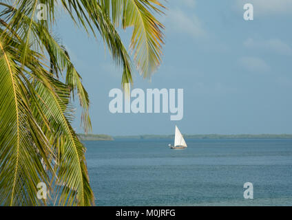 Dhow vela di fronte spiaggia Kizingoni, Lamu, Kenya Foto Stock