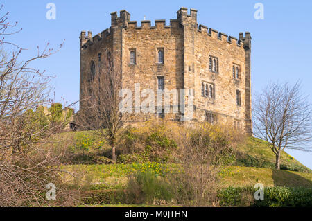 Vista la molla di Durham University College di castle keep, North East England Regno Unito Foto Stock