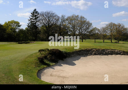 Vista sulla grande bunker al XII verde sul nuovo corso, Walton Heath Golf Club, Walton-on-the-Hill, Surrey, Inghilterra Foto Stock