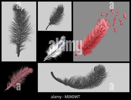 Abstract set di piume e rosso uccelli astratto Illustrazione Vettoriale
