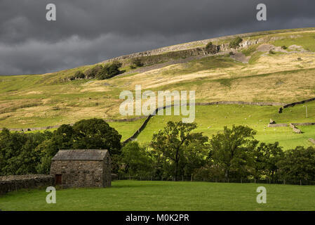 Campagna verde vicino Muker in Swaledale, Yorkshire Dales, Inghilterra. Foto Stock