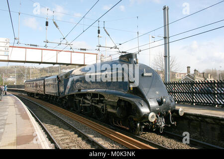 A4 locomotiva a vapore Sir Nigel Gresley sulla strada da Grosmont a Carnforth - Shipley, nello Yorkshire, Regno Unito - 15 Aprile 2008 Foto Stock