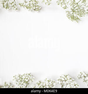 Elegante stock photo. Nozze femminile desktop mockup con baby soffio Gypsophila Fiori su fondo bianco. Spazio vuoto. Cornice floreale, banner web. Vista dall'alto. Foto per il blog o i social media. Foto Stock