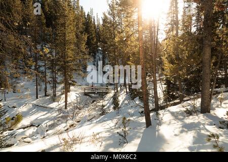 I turisti lo sci attraverso il Lost Creek Bridge presso il Parco Nazionale di Yellowstone in inverno Dicembre 31, 2017 in Wyoming. Foto Stock