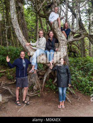 Un ritratto di famiglia con quattro figlie in un albero a Vancouver Island; Ucluelet, British Columbia, Canada Foto Stock