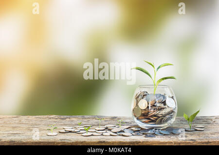 Concetto di investimento. Impianto di crescita sulle monete in bottiglia di vetro chiaro su un tavolo di legno verde con sfondo sfocato e luce. Conceptual risparmio di denaro per g Foto Stock