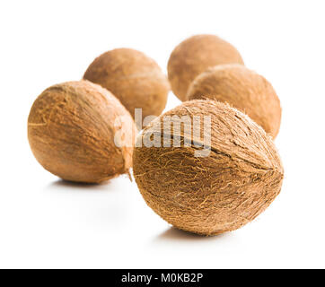 Le noci di cocco intero isolato su sfondo bianco. Foto Stock