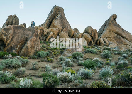 Matura in piedi sulle rocce della Alabama Hills dopo il tramonto; California, Stati Uniti d'America Foto Stock