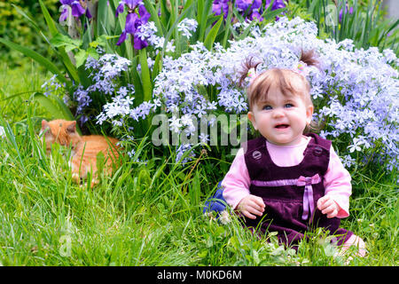 Un ucraina belle bambina giocando su un prato con un minerale cat. Incredibile estate dimostra questa bellezza Foto Stock