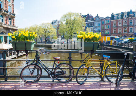 Amsterdam, Paesi Bassi - 20 Aprile 2017: la splendida vista dei canali di Amsterdam con il ponte e biciclette. Amsterdam, Paesi Bassi Foto Stock