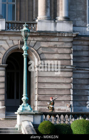 Royal soldier, guardia di pattugliamento di fronte a una casa di guardia, Royal Palace, Palais Royal Bruxelles, Belgio. Foto Stock