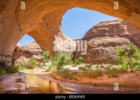 Escursionista backpacking sotto splendide Jacob Hamblin Arch in Coyote Gulch in una giornata di sole in estate, Grand Staircase-Escalante monumento nazionale, Utah, Stati Uniti d'America Foto Stock