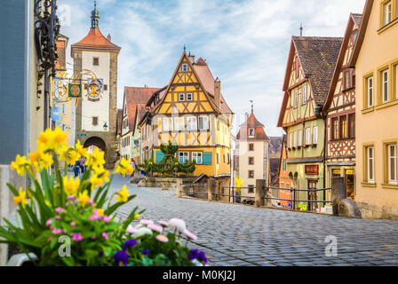 Visualizzazione classica della città medievale di Rothenburg ob der Tauber con fiori che sbocciano in una bella giornata di sole in primavera, Baviera, Germania Foto Stock
