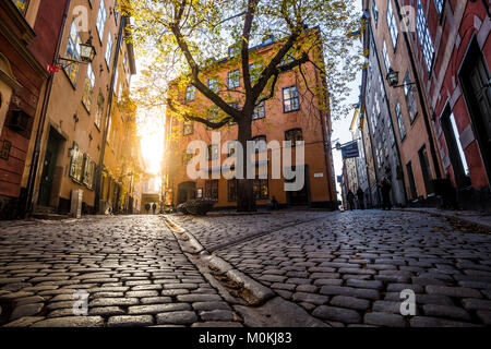 Suggestiva scena di strada con vecchie case colorate in beautiful Golden luce della sera al tramonto a Gamla Stan (la Città Vecchia) nel centro di Stoccolma. Svezia Foto Stock