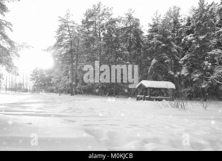 Monocromatico gazebo in legno nella foresta in inverno giornata di sole Foto Stock