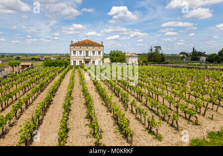 Vista di una grande casa e filari di viti che crescono in un vigneto, Saint-Emilion, un comune nella Gironda dipartimento Nouvelle-Aquitaine nel sud-ovest della Francia Foto Stock