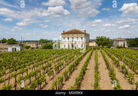 Vista di una grande casa e filari di viti che crescono in un vigneto, Saint-Emilion, un comune nella Gironda dipartimento Nouvelle-Aquitaine nel sud-ovest della Francia Foto Stock